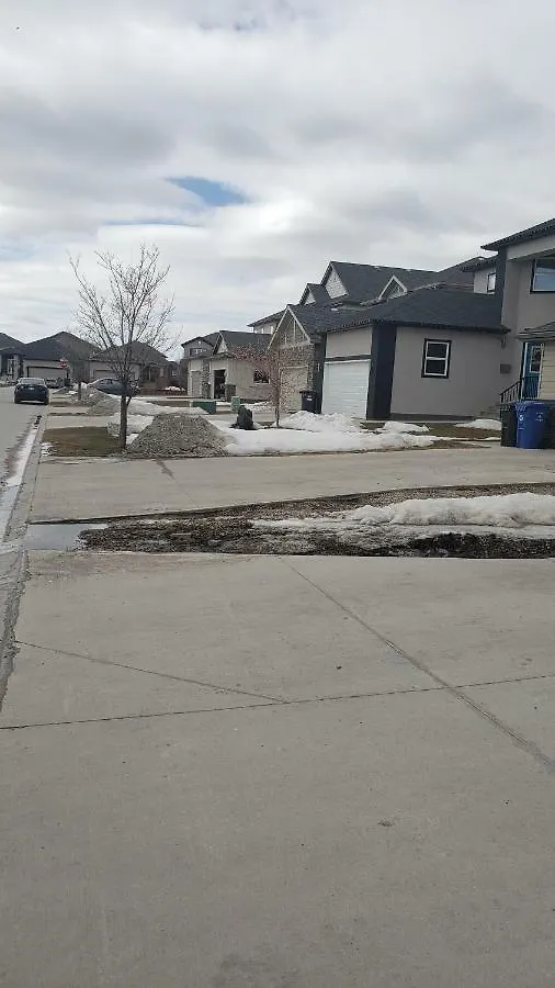 Home Winnipeg 0*,